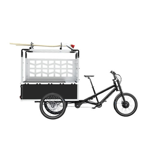 Elektrischer Fahrzeug - RADKUTSCHE MUSKETIER - FLORA