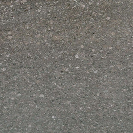 Marmor-Steinplatte - FOSSIL GREY - PAYANINI SRL - für Fußboden / für Innenausbau / matt