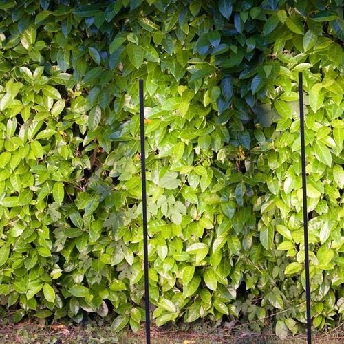 Leuchtpoller für Garten - ACORUS - Inverlight Srl - modern / Edelstahl / LED
