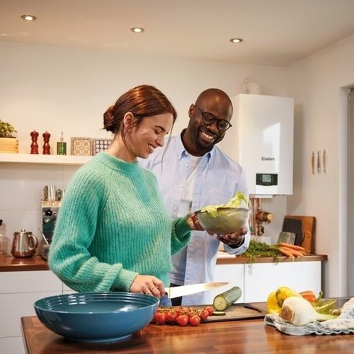 Gas-Heizkessel - ECOTEC PLUS - VAILLANT - nur für Heizzwecke / wandmontiert / Wohnbereich