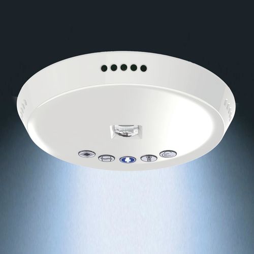 Lichtmelder - KIRK - Herbert Waldmann GmbH & Co. KG - deckenmontiert / Profi / weiß