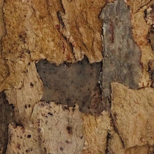 Wand-Dekorplatte - 071 00 SERIES - Granorte Revestimentos de Cortica, lda - Eiche / Kork / Fliesenoptik