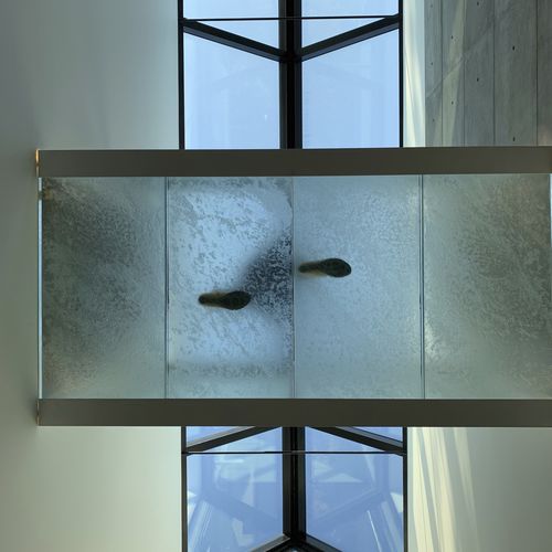 Glas-Bodenbelag - ThinkGlass - für den Innenraum / für Außenbereich / für Treppenstufen