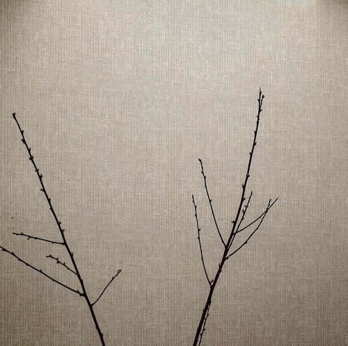 Moderne Tapete - PICTURA : LINEE - Parato - Vinyl / einfarbig / Stoffoptik