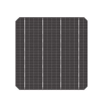 Gefärbte Solarzelle - 4BB MONO - Talesun Solar - monokristallin