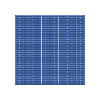 Gefärbte Solarzelle - 4BB POLY - Talesun Solar - polykristallin