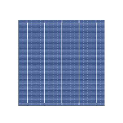 Gefärbte Solarzelle - 5BB POLY - Talesun Solar - polykristallin