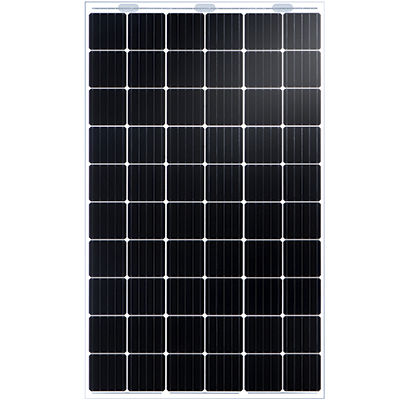 Monokristallines Photovoltaik-Modul - NIPRO DUAL TD6D60M - Talesun Solar - Doppelglas / rahmenlos / PID-frei