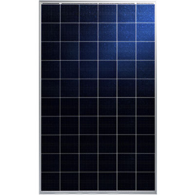Polykristallines Photovoltaik-Modul - MIPRO III TP660P - Talesun Solar - farbig / PID-frei / mit Aluminiumrahmen