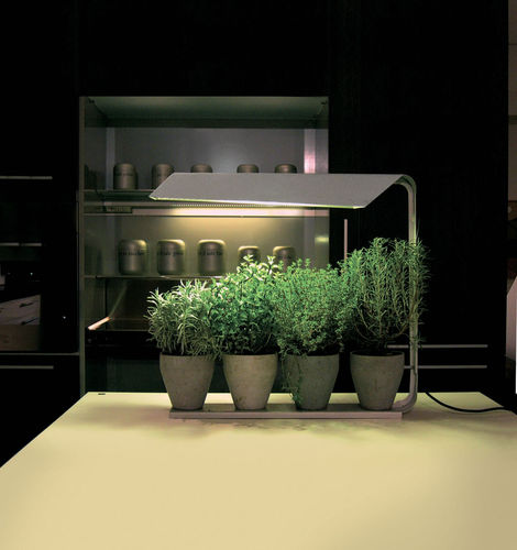 Pflanzenlampe - SOLARIA: COLTIVA - Knikerboker - Tisch / Stahl / modern