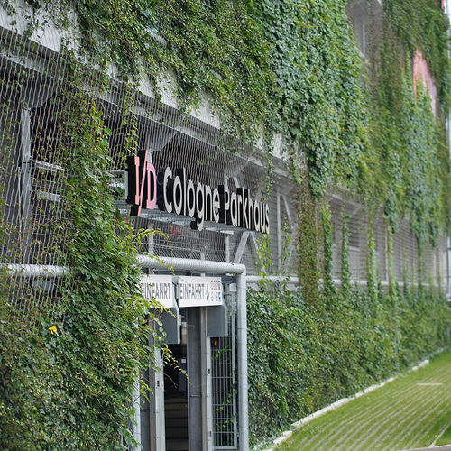 Spalier für Fassade - GREENCABLE® – SAFETY - Carl Stahl ARC GmbH - für begrünte Mauern / Edelstahl
