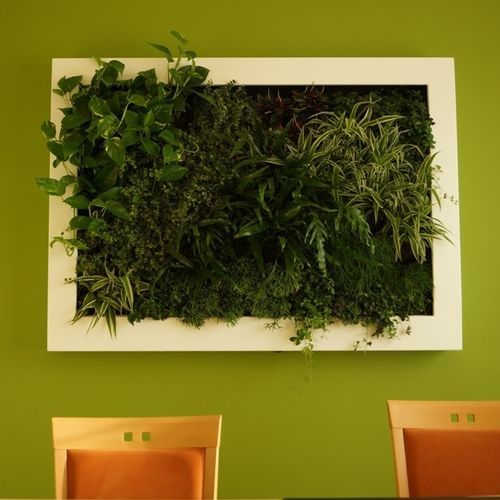 Schmale Wandbegrünung - NATURAL CANVAS - Terapia Urbana - lebende Pflanzen / modulare Platte / natürlich