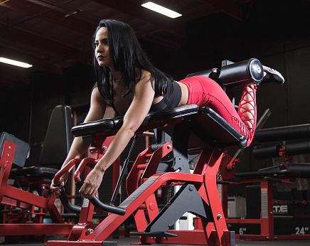 Bein-Curl-Fitnessgerät - FLY-213 - Foreman Fitness Europe GmbH - für den Innenraum