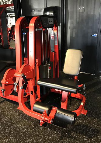 Beinstreckungs-Fitnessgerät - FS-101 - Foreman Fitness Europe GmbH - für den Innenraum