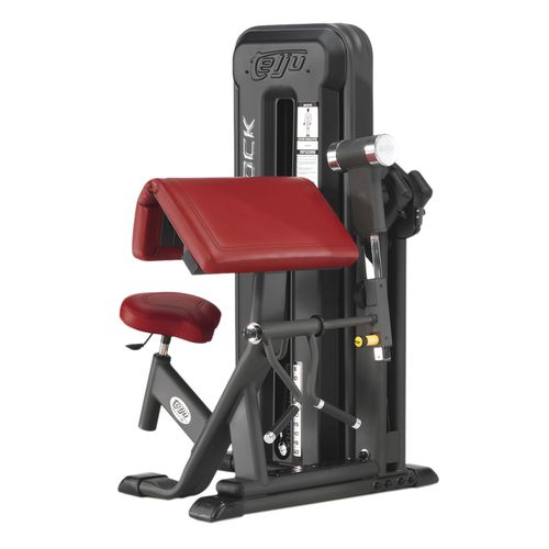 Curl-Fitnessgerät - 4SHO041/0 - Telju Fitness - für den Innenraum / für Gewerbegebrauch