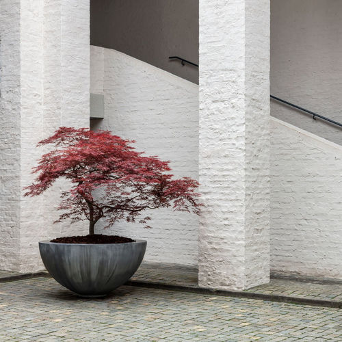 Zink-Pflanzkübel - HALF BOWL - DOMANI - rund / modern / für öffentliche Bereiche
