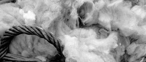 Thermo-akustische Isolierung - ECOWOOL®  - ECOINSULATION - tierischer Herkunft / Schüttgut / Innenbereich