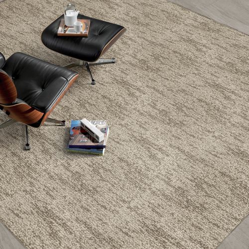 Tuft-Teppichboden - LIONEL  - Stanton Carpet Corporation - Polyester / für Gewerbegebrauch / Motiv