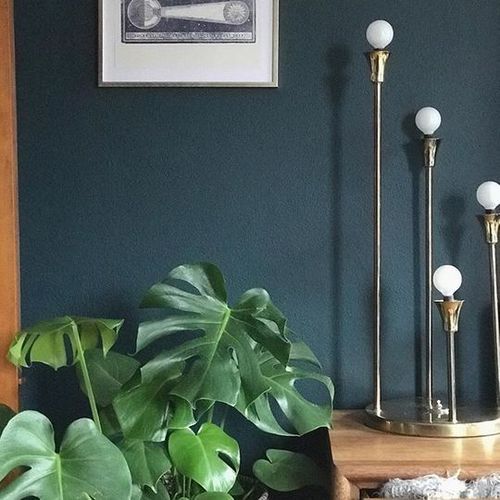 Grundierungsfarbe - PREMIUM PLUS®  - BEHR - Innenbereich / für Wand / Eierschalen