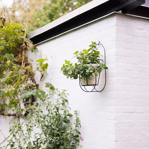 Blumenkastenhalter - CIBELE - OK DESIGN