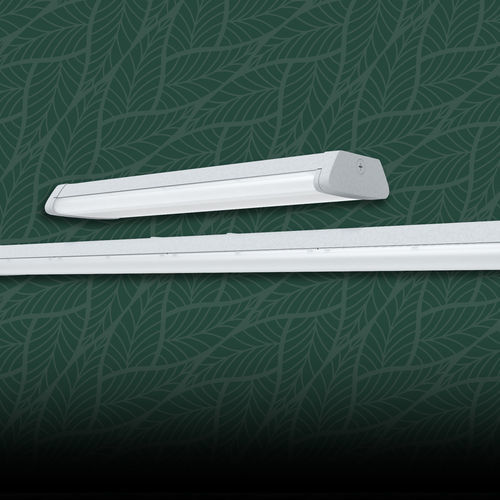 Aufbauleuchte - C-WRAP - RAB Lighting - LED / linear / rechteckig