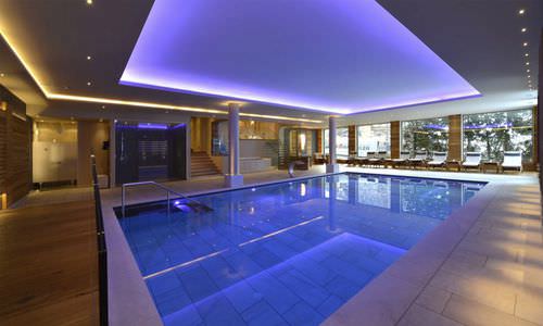 Platten-Schwimmbecken - Hofer Group GmbH - für den Innenraum / erdverlegt / Stahl