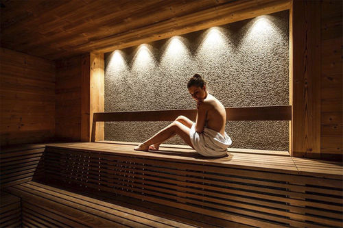 Sauna für Privatgebrauch - . - Hofer Group GmbH
