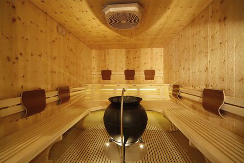 Elektrischer Saunaofen - Hofer Group GmbH - bodenstehend / Metall / für Sauna