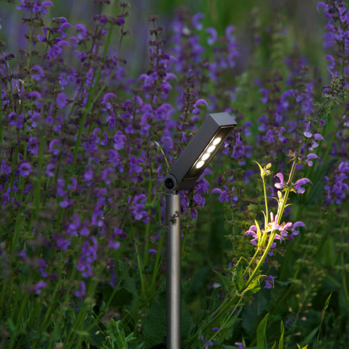 Edelstahl-Leuchtpoller - BENTH - Stral - für Garten / modern / Stahl