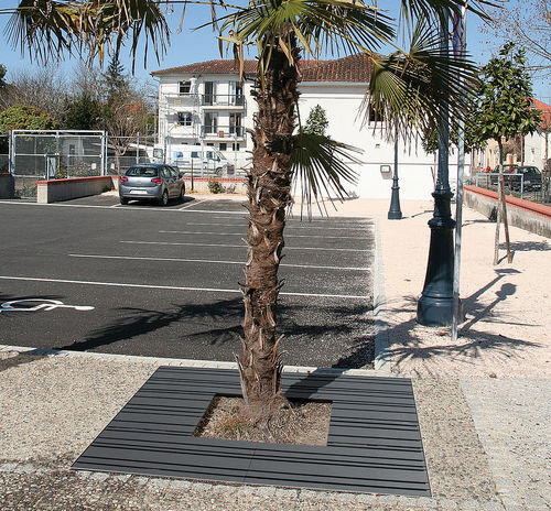 Quadratisches Baumgitter - AZTEC - ACCENTURBA - galvanisiertem Stahl / thermolackierter Stahl