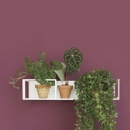 Wandmontiertes Regal - FLOO - Balma - modern / Metall / für Büro