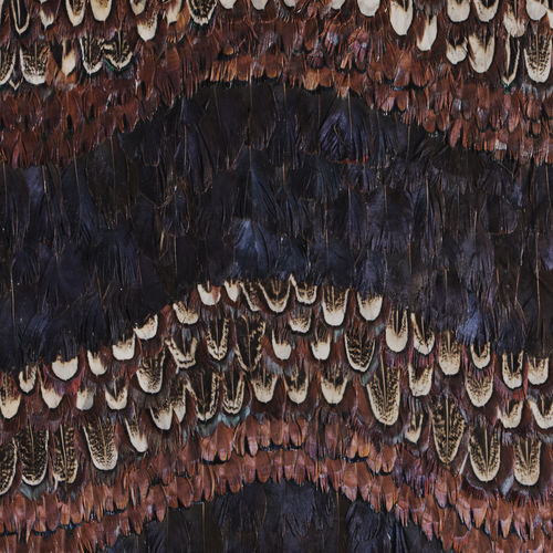 Innenwandverkleidung - PEACOCK &amp; PHEASANT PURPLE WAVE - KOKET Love Happens - Federn / für Privatgebrauch