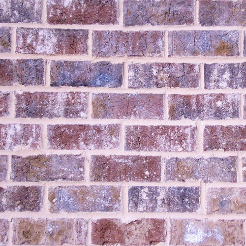 Ziegel für Fassaden - HARBOUR SHOALS - PINE HALL BRICK - Massiv / weiß