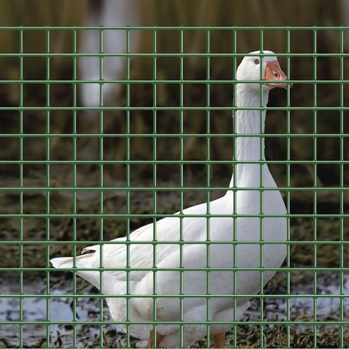 Zaun / geschweißter Maschendraht - ELECTROPLAST - Ferro Bulloni - für Tiergehege / galvanisiertem Stahl / rechteckig