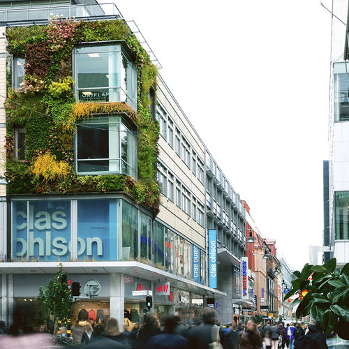 Vertikaler Garten / lebende Pflanzen - VASAKRONAN AND KLARA ZENIT  - GREENWORKS SWEDEN - kundenspezifisch / natürlich / Blumen