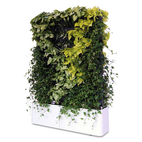 Wandbegrünung / lebende Pflanzen - MOVING HEDGE - GREENWORKS SWEDEN - modulare Platte / natürlich / für den Innenraum