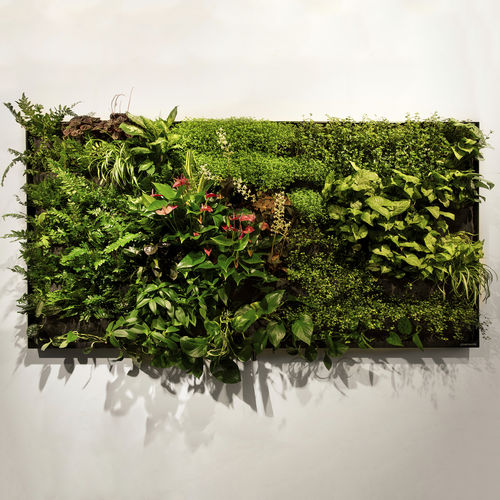 Pflanzrahmen / lebende Pflanzen - 2M2 - GREENWORKS SWEDEN - natürlich / für den Innenraum / wandhängend