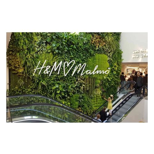 Vertikaler Garten / lebende Pflanzen - H&M AT GUSTAV ADOLFS TORG - GREENWORKS SWEDEN - kundenspezifisch / natürlich / für den Innenraum