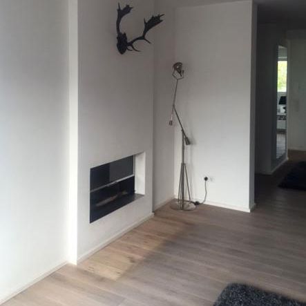 Holzkamin - Leonardo Caminetti GmbH - Einbau / mit 3 Sichtseiten / doppelseitig