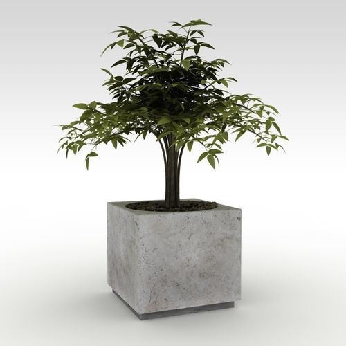 Naturstein-Pflanzkübel - basic - Arredo di Pietra srl - Travertin / quadratisch / hochbelastbar