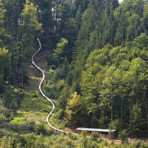 Drehende Rutsche - TREE TOP WALK WALDKIRCH  - atlantics GmbH - für Spielplätze / Edelstahl / rohrförmig