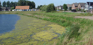 Erosionsschutzgewebe - STANDARD - MST-DRÄNBEDARF