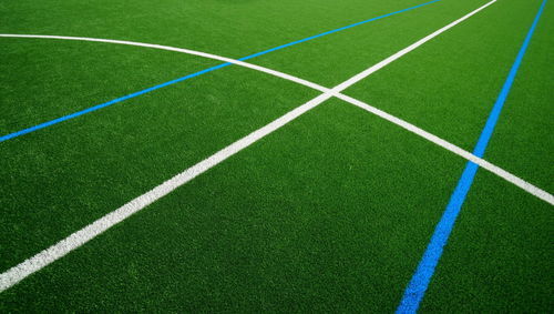 Naturrasen - PRO R - Polytan GmbH - Rollen / für Sportplätze / Multifunktion