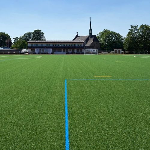 Naturrasen - SYNERGY R - Polytan GmbH - Rollen / für Sportplätze