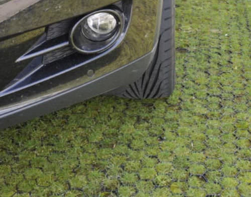 Rasenschutzgitter - PROGRASS - Ritter GmbH