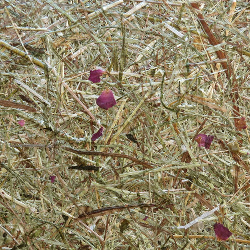 Dekorplatte für Innenausbau - WILDSPITZE ROASA - Organoid Technologies GmbH - Naturfaser / HPL / texturiert