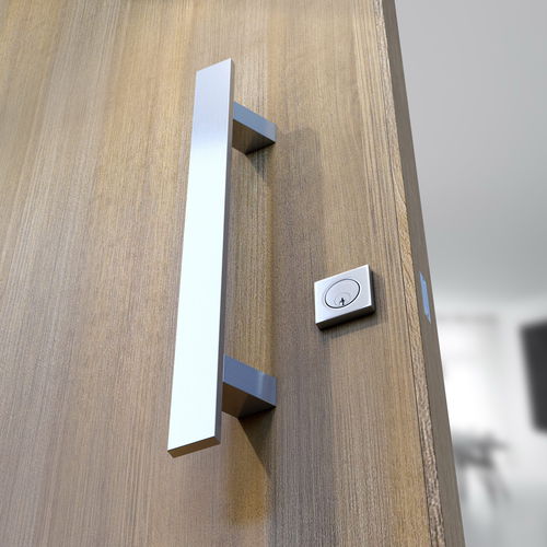 Türstoßgriff - ALU-820 - Panidis SA - anodisiertes Aluminium / modern