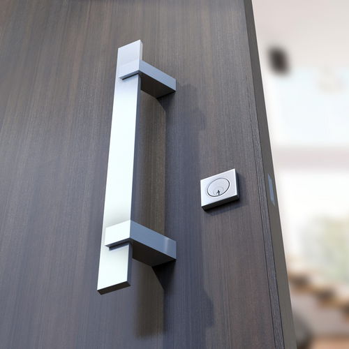 Türstoßgriff - ALU-830 - Panidis SA - anodisiertes Aluminium / modern