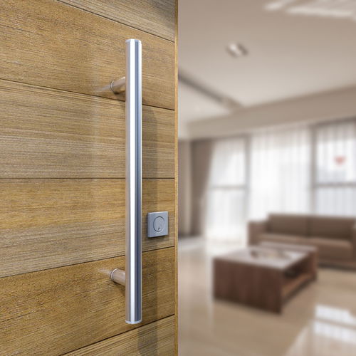 Türstoßgriff - INOX-100 / 316 SATINE - Panidis SA - Edelstahl / modern / für Privatgebrauch