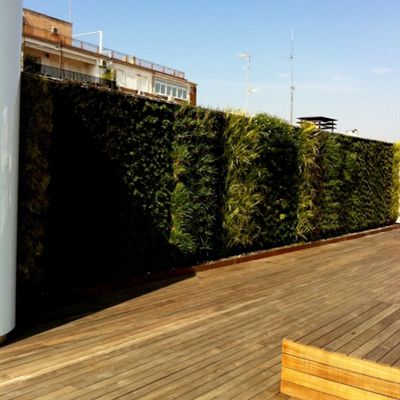 Wandbegrünung / lebende Pflanzen - PRIVATE PENTHOUSE - Paisajismo Urbano - modulare Platte / natürlich / für Garten